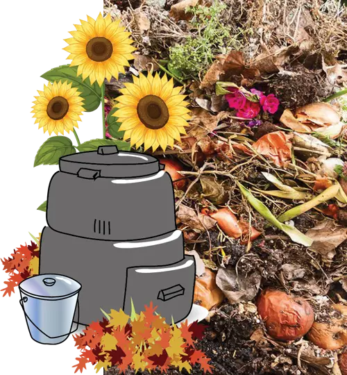 compost