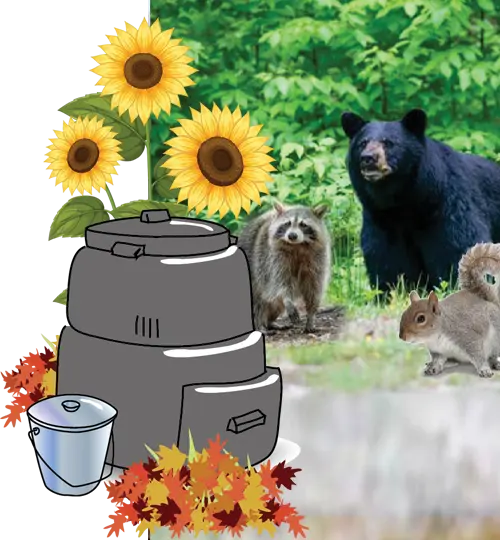 compost