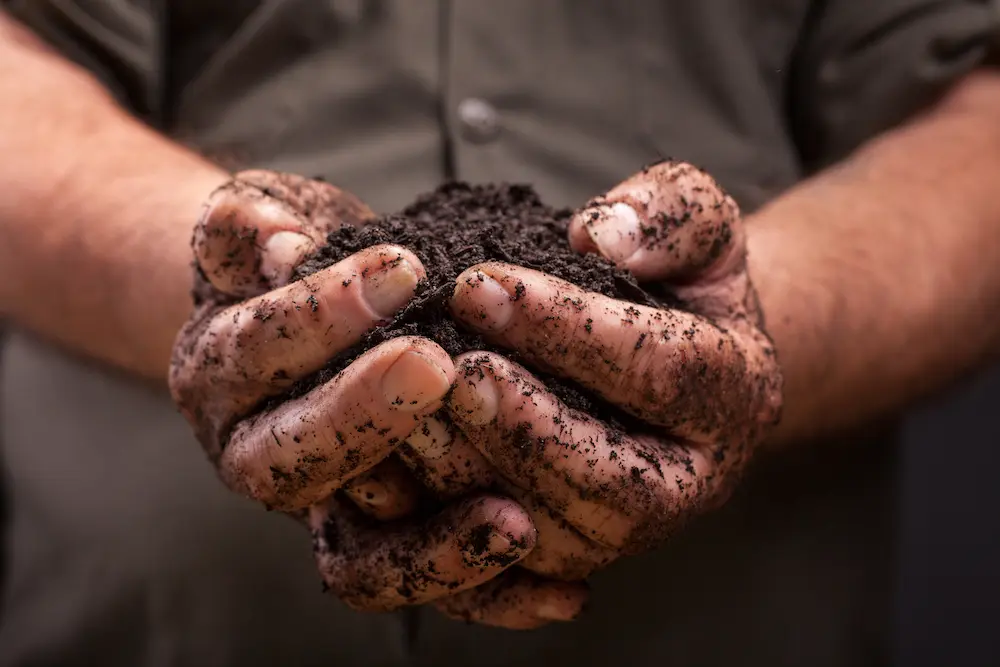Hands holding compost